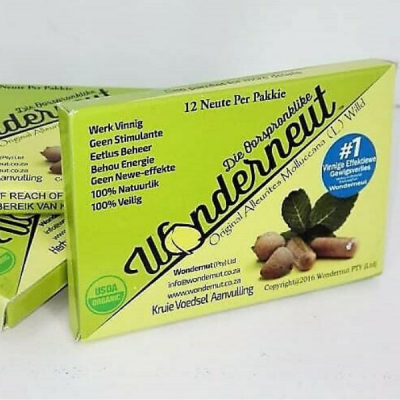 W010 - Wondernut Seed (12 Seeds/Nuts)